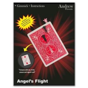 Angels Flight by Andrew and Ednei Ernesto
