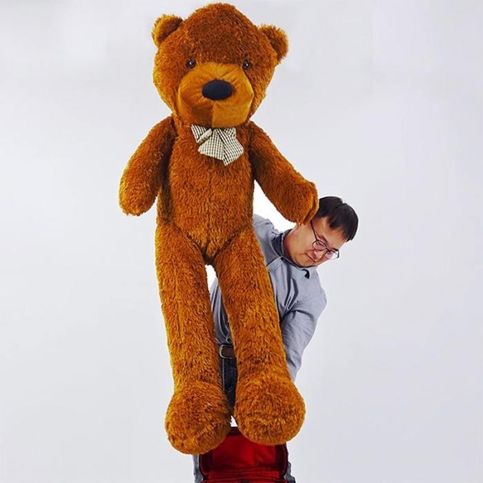 Appearing Teddy Bear - Large size Appearing Teddy Bear - Large size
