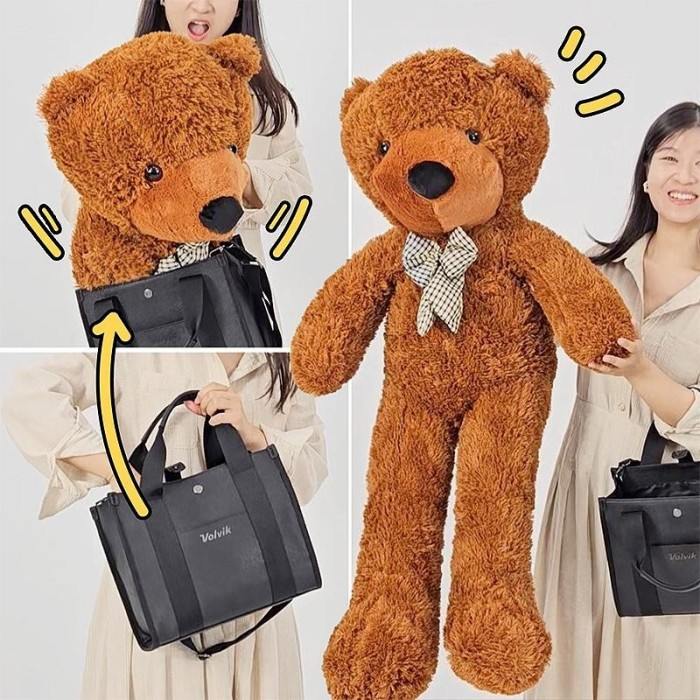 Appearing Teddy Bear - Medium size Appearing Teddy Bear - Medium size