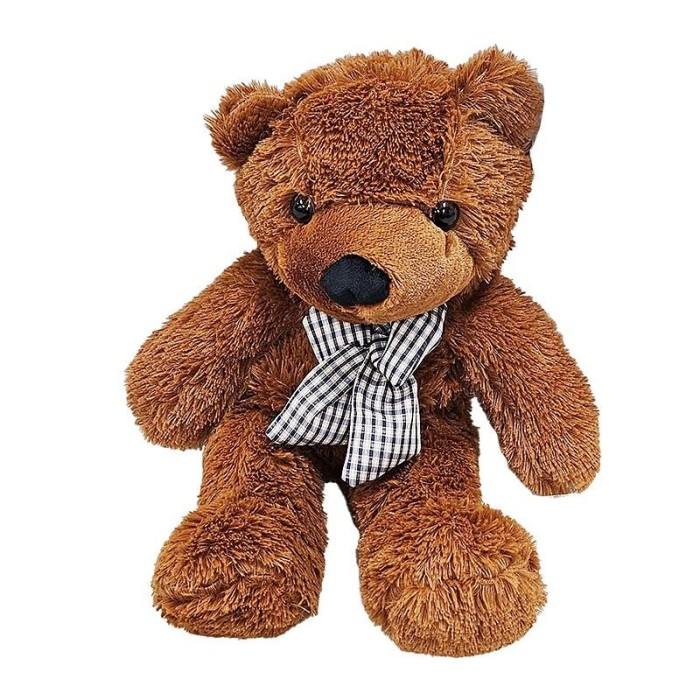 Appearing Teddy Bear - Small size Appearing Teddy Bear - Small size