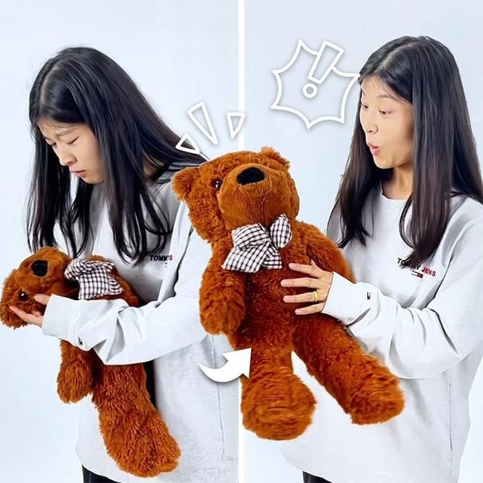 Appearing Teddy Bear - Small size Appearing Teddy Bear - Small size