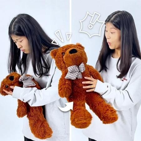Appearing Teddy Bear - Small size Appearing Teddy Bear - Small size