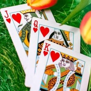 Butterfly Seasons Playing Cards - Spring (marked)