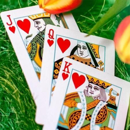 Butterfly Seasons Playing Cards - Spring (marked)