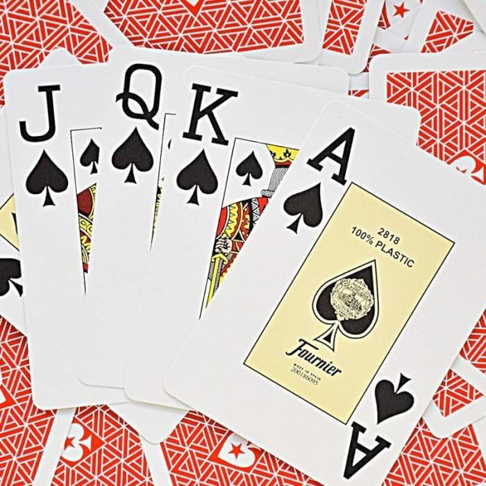 EPT 100 Plastic Playing Cards