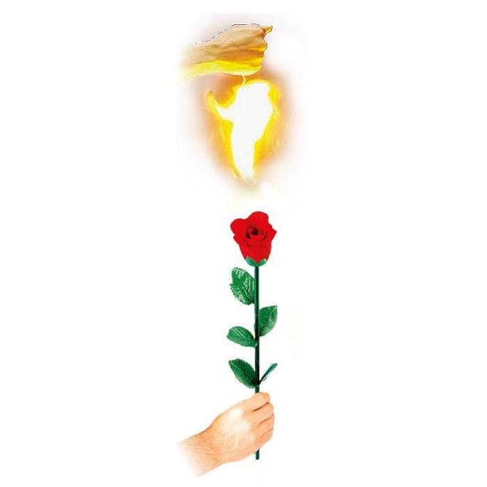 Instant Rose