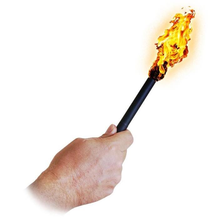 Fire Torch Fire Torch