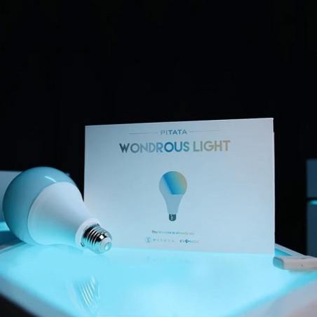 PITATA Wondrous Light PITATA Wondrous Light