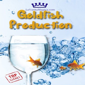 Goldfish production