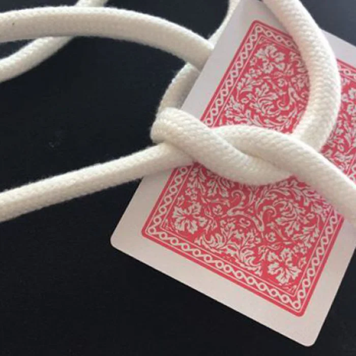 Card on Rope + Video Online by Dario Hueta