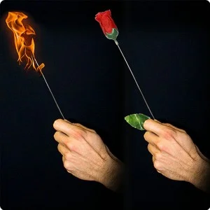 Torch to Rose Plus