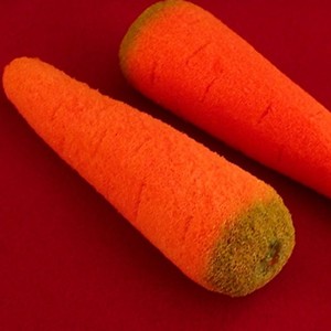 Zanahorias de Esponja