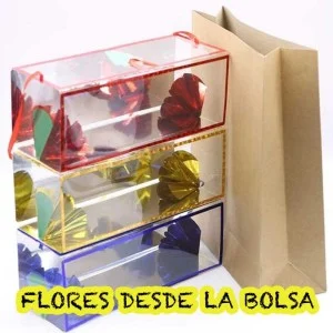 Flores desde Bolsa Vacía