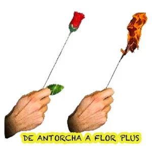 Antorcha a Rosa Plus