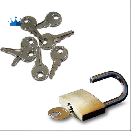 Gravity Lock Profesional