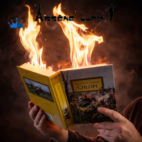 Libro Fuego Electrónico